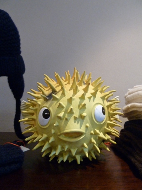 Love this rubber puffer fish at Caramel Brompton Rd