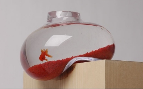 Fish tank by Psalt